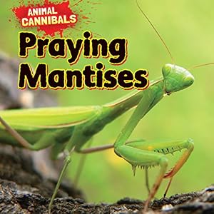 Praying Mantises