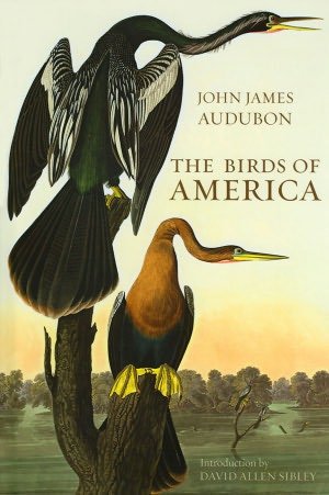 The Birds of America by John James Audubon