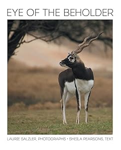 Eye of the Beholder by Sheila Pearsons
