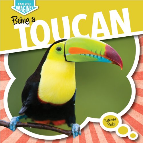 Being a Toucan by Katherine Ponka