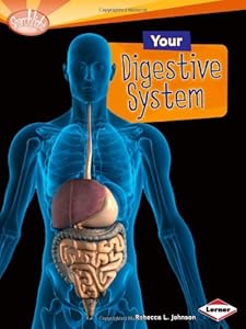 Your Digestive System by Rebecca L. Johnson