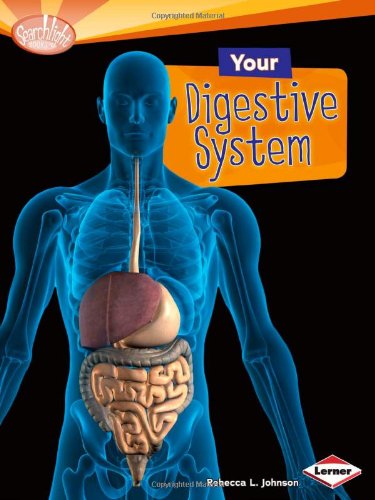 Your Digestive System by Rebecca L. Johnson