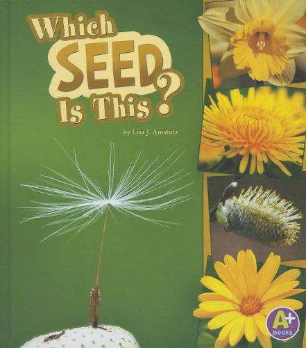Which Seed Is This? (A+ Books: Nature Starts) by Lisa J. Amstutz