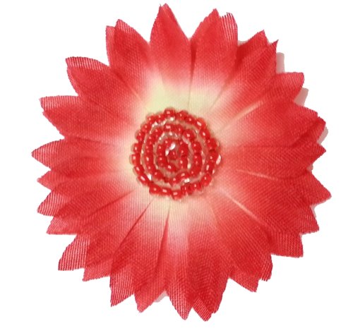 Algopix Similar Product 10 - Cuteque International 12Piece Daisy