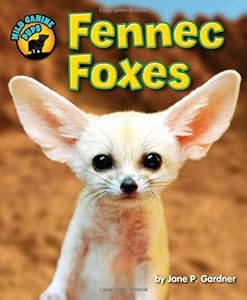 Fennec Foxes