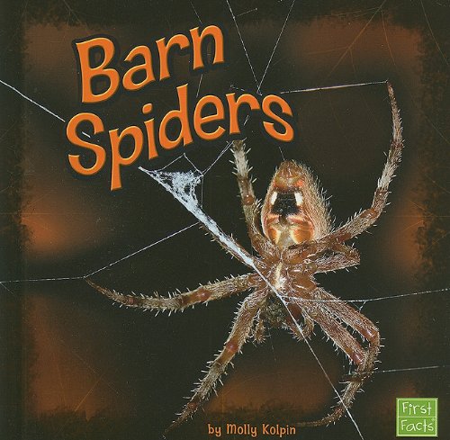 Barn Spiders by Molly Kolpin