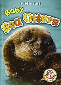 Baby Sea Otters