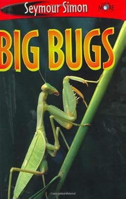 See More Readers: Big Bugs - Level 1