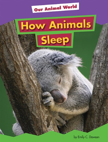 How Animals Sleep by Emily C. Dawson