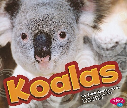 Koalas by Sara Louise Kras
