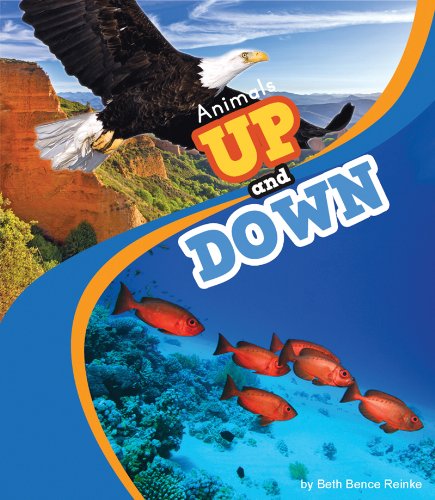 Animals Up and Down by Beth Bence Reinke