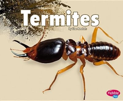 Termites