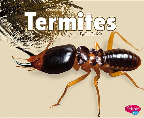 Termites by Esther Porter