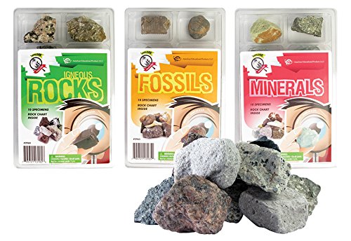 Algopix Similar Product 9 - Beckers School Supplies Rocks 