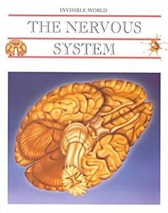 The Nervous System and the Brain (Invisible World)