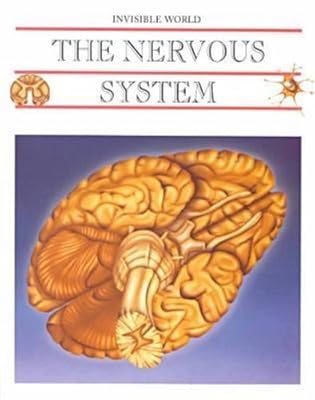 The Nervous System and the Brain (Invisible World)