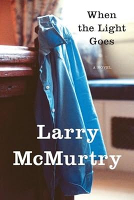 When the Light Goes: A Novel
