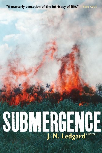 Submergence by William Boyd