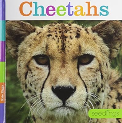 Cheetahs