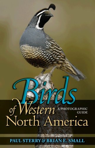 Birds of Western North America: A Photographic Guide (Princeton Field Guides) by David Allen Sibley