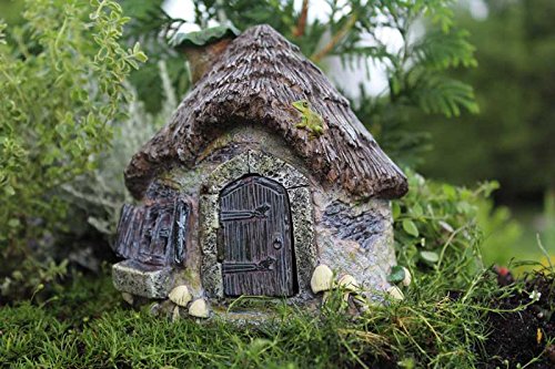 Algopix Similar Product 18 - Ribbett's Ridge Fairy House