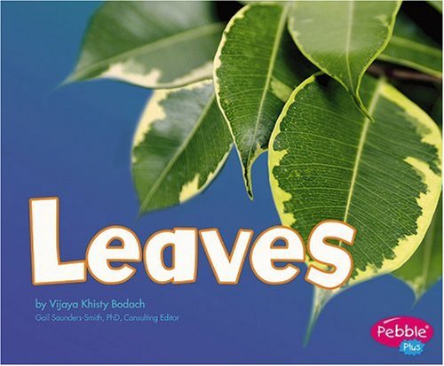 Leaves (Pebble Plus) by Vijaya Khisty Bodach