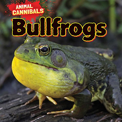 Bullfrogs by Sam Hesper