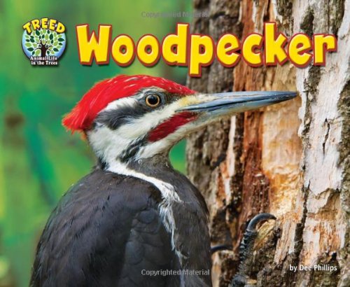 Woodpecker by Dee Phillips