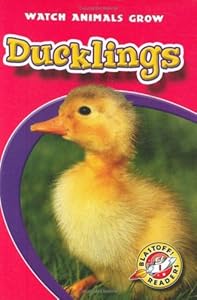 Ducklings (Blastoff! Readers: Watch Animals Grow)