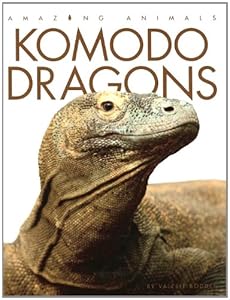 Komodo Dragons