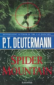 Spider Mountain: A Novel