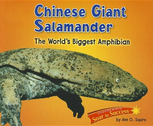 Soar to Success: Soar To Success Student Book Level 6 Wk 4 Chinese Giant Salamander by HOUGHTON MIFFLIN