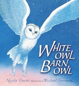 White Owl, Barn Owl