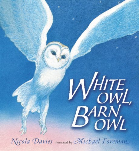 White Owl, Barn Owl by Nicola Davies