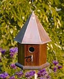 Copper Songbird Bird House