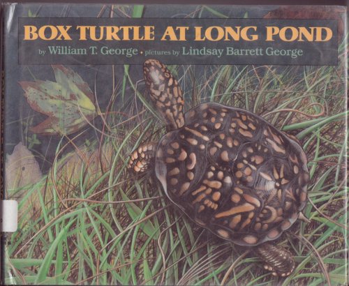 Box Turtle at Long Pond by William T. George