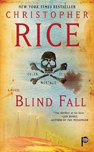 Blind Fall: A Novel