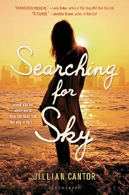 Searching for Sky