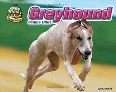 Greyhound: Canine Blur!