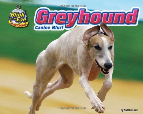 Greyhound: Canine Blur! by Natalie Lunis
