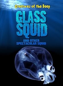 Glass squid and other spectacular squid