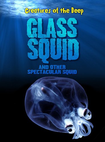 Glass squid and other spectacular squid by Casey Rand