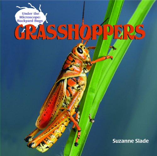 Grasshoppers (Under the Microscope: Backyard Bugs) by Suzanne Slade