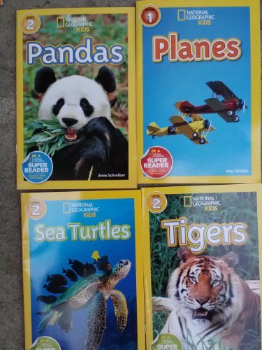 Planes by Amy Shields