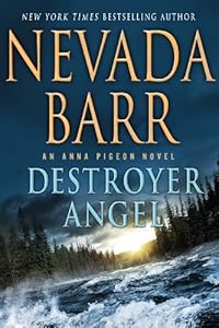 Destroyer Angel