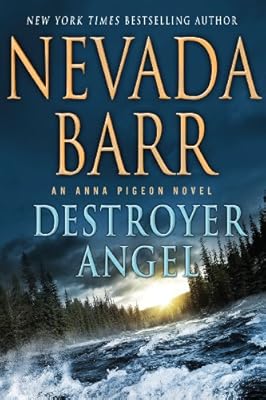 Destroyer Angel