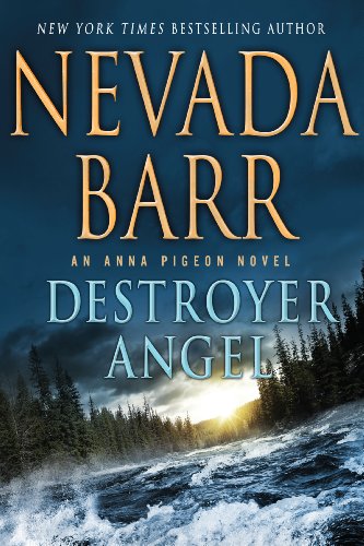 Destroyer Angel by Nevada Barr
