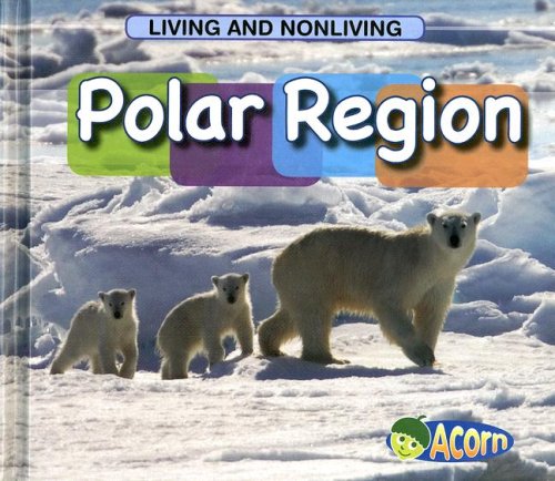 Polar Region (Acorn) by Cassie Mayer