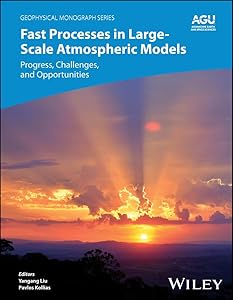 Fast Processes in Large-Scale Atmospheric Models: Progress, Challenges, and Opportunities (Geophysical Monograph Series Book 282) by Yangang Liu