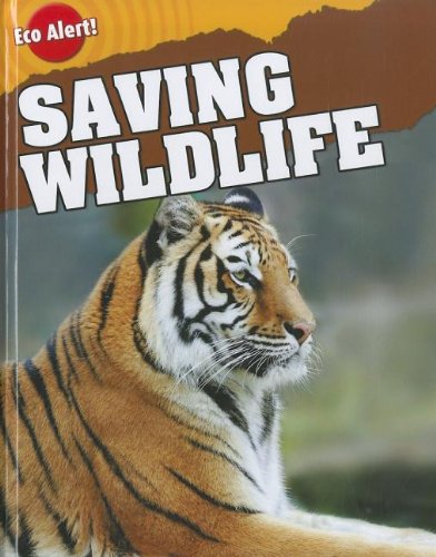 Saving Wildlife by Rebecca Hunter